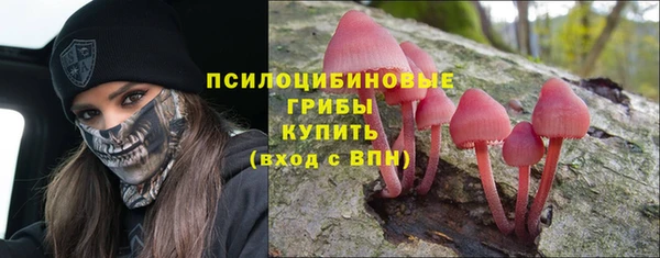 мет Верхний Тагил